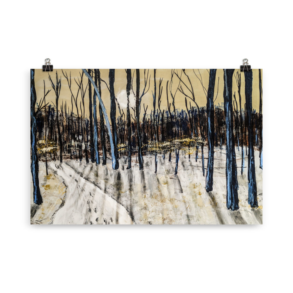 Poster- December Late Afternoon in Potomac, Maryland
