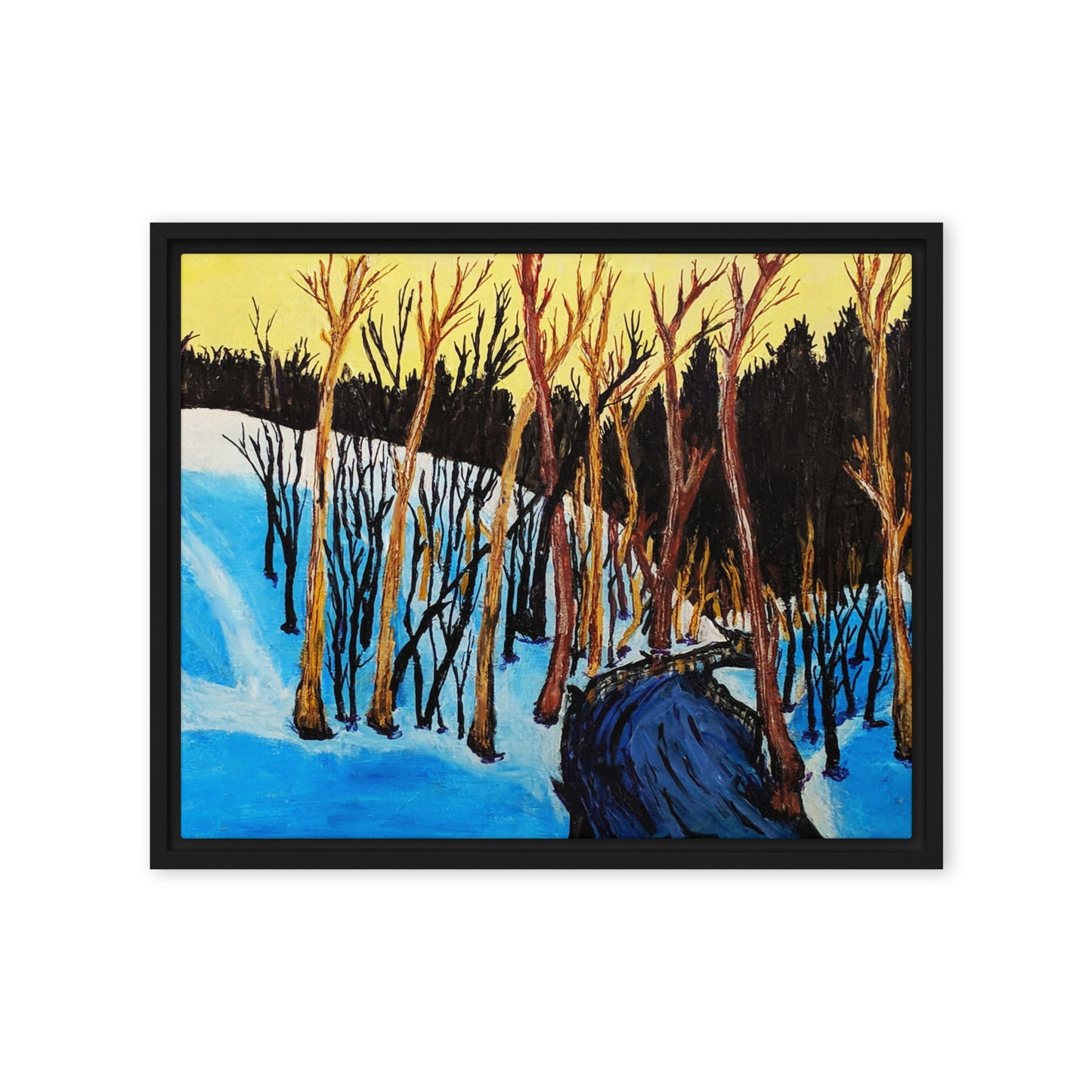 Framed canvas- Virginia Ravine