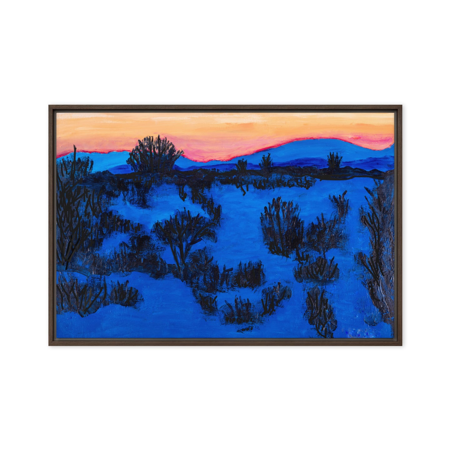 Framed canvas- Arizona Sundown
