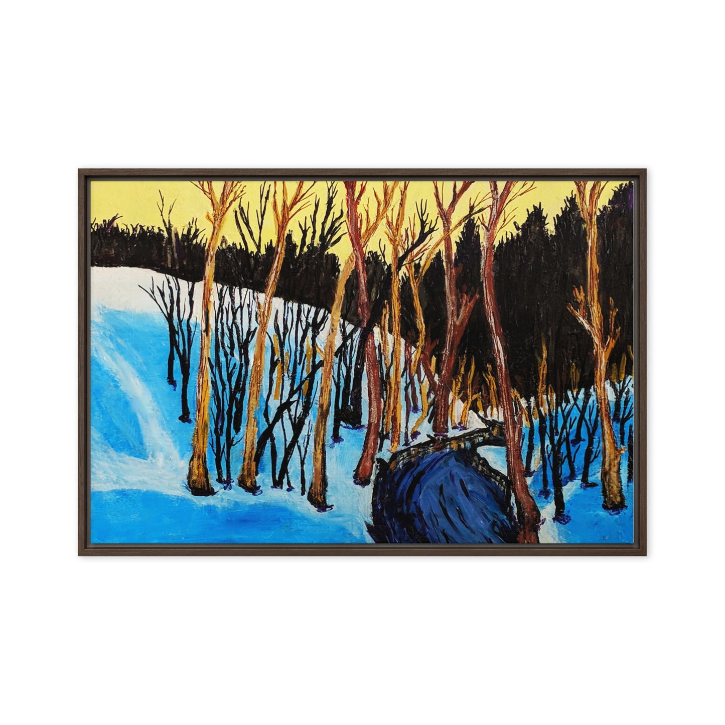 Framed canvas- Virginia Ravine