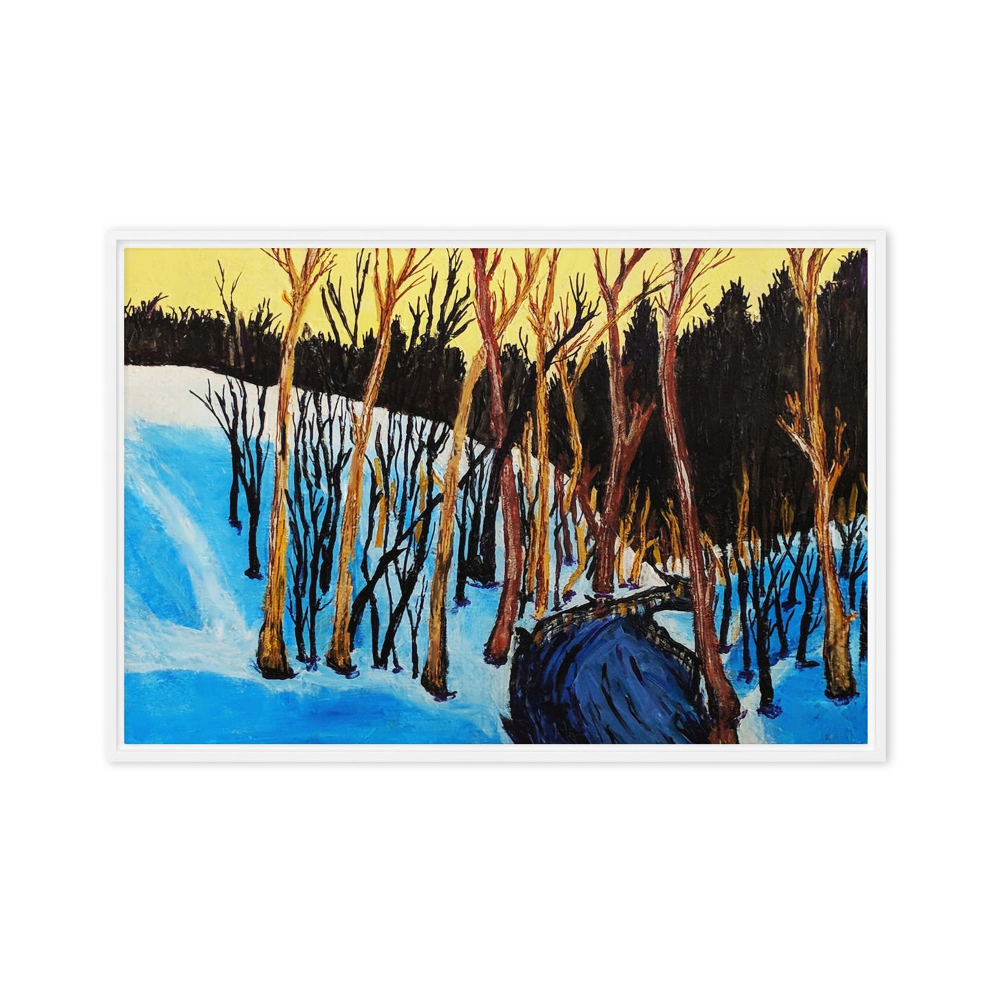 Framed canvas- Virginia Ravine